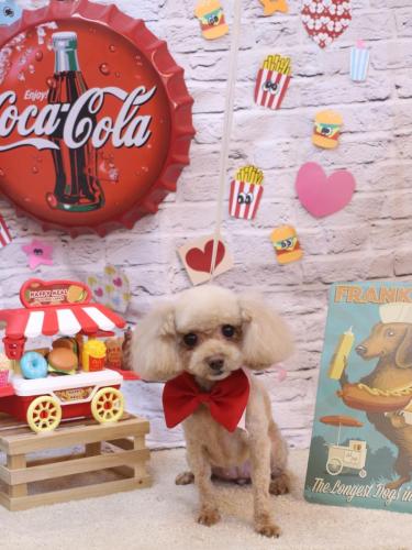 20230930うたちゃん